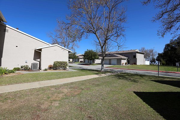 725A Backyard 0060