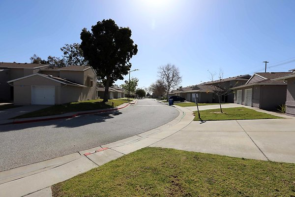 725A Backyard 0063