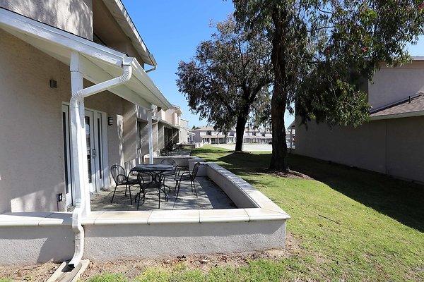 725A Backyard 0066