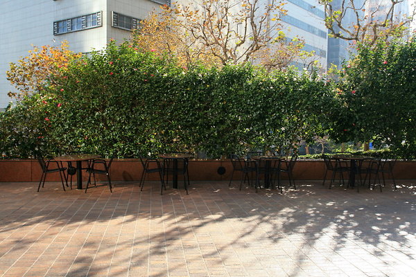 Patio LS 0133 1