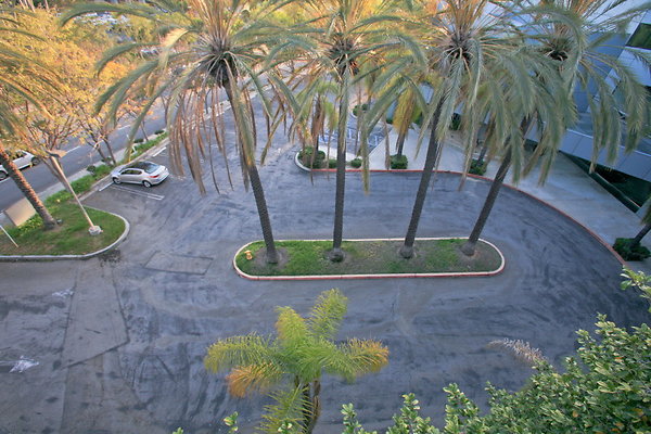 Parking Lot &amp; Driveway from Parking Structure Roof 0220 1