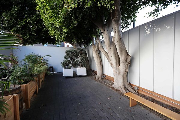 220A Courtyard 0109