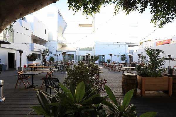 220A Courtyard 0108