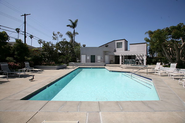 Pool 0232 10