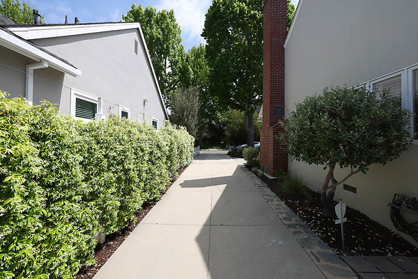020B Driveway 0105