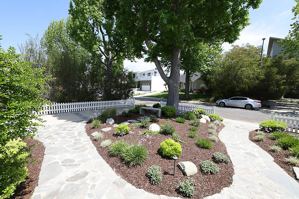 020B Front Yard 0113