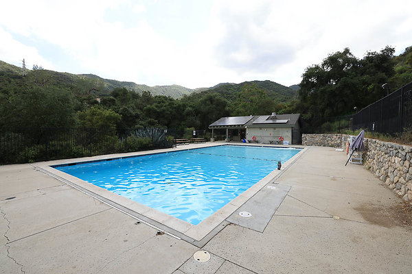 608 Camp Pool