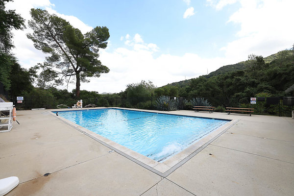 Aquatic Center Pool 1331