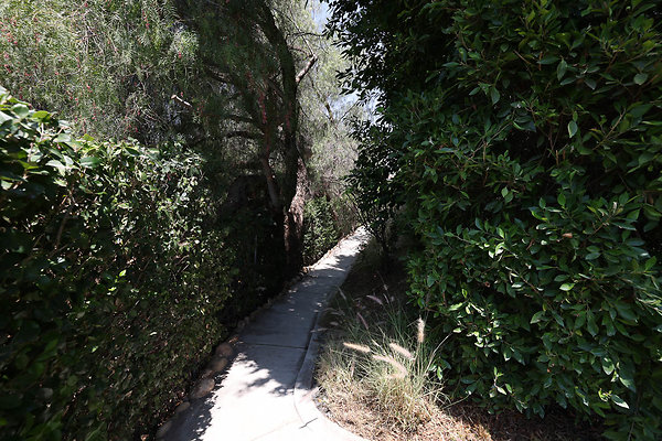 092A Pool Yard Path to Guest House 0092
