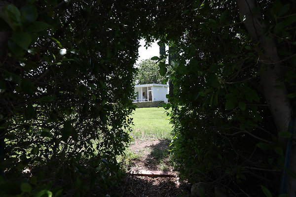 092A Mid Yard Stairs to Guest House 0104