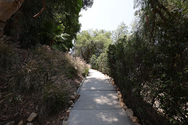 092A Pool Yard Path to Guest House 0097
