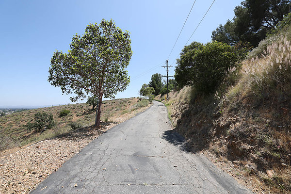 092A Driveway6 0285