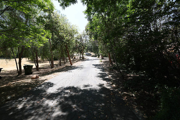 092A Driveway1 0300