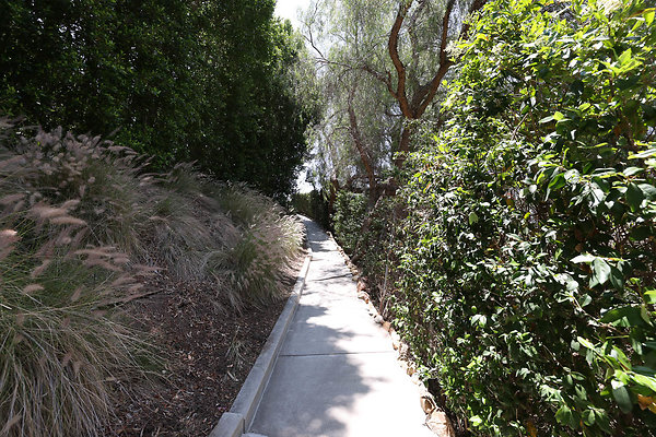 092A Pool Yard Path to Guest House 0095