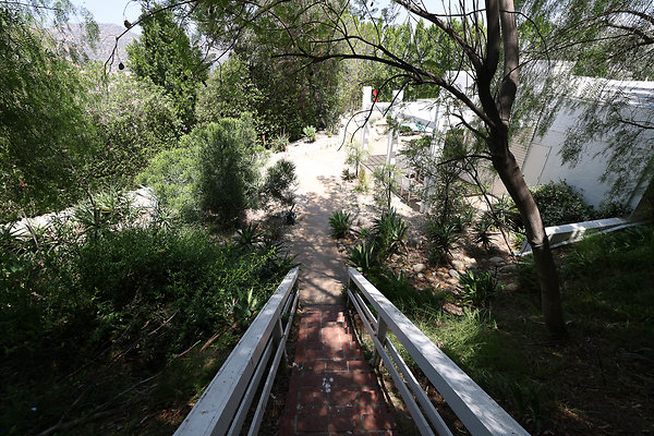092A Mid Yard Stairs to Guest House 0106