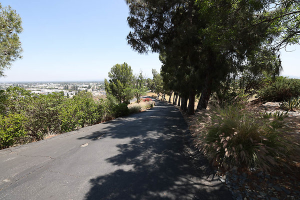 092A Driveway10 0281
