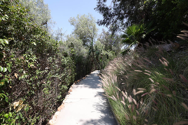 092A Pool Yard Path to Guest House 0096