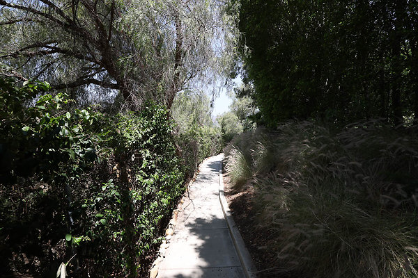 092A Pool Yard Path to Guest House 0094