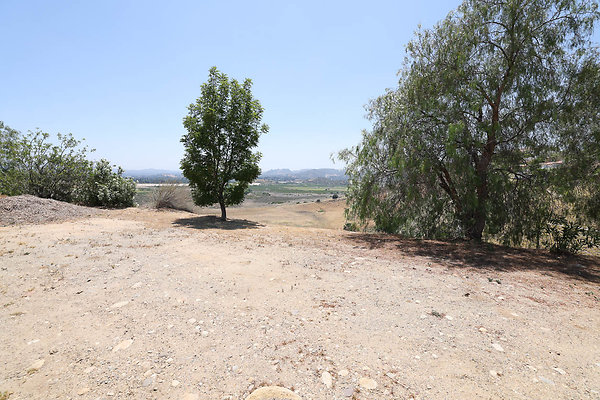 092A Dirt Pad 0298