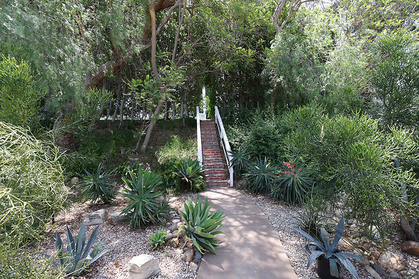 092A Mid Yard Stairs to Guest House 0103