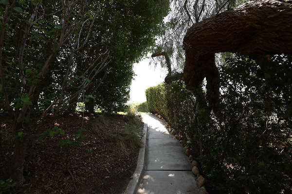 092A Pool Yard Path to Guest House 0093