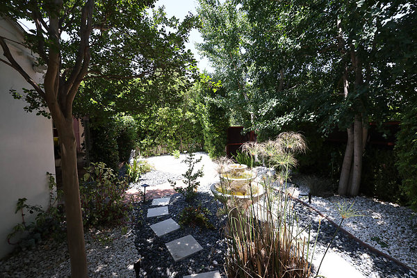 010B Front Yard 0123