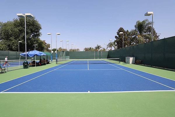 Court8 0175