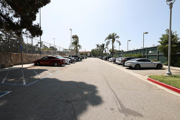 Driveway2 0181