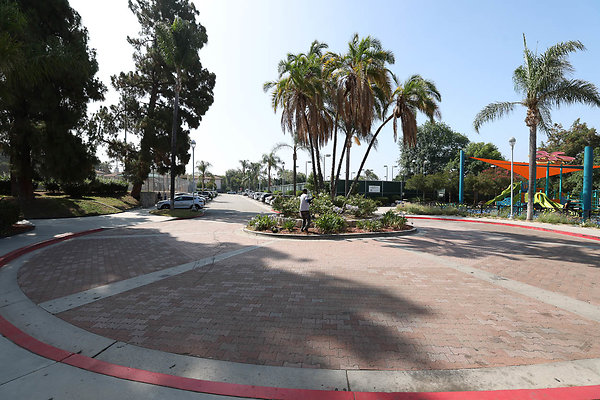 Driveway 0003