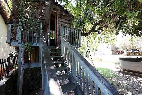 166B Backyard Tree House 0067