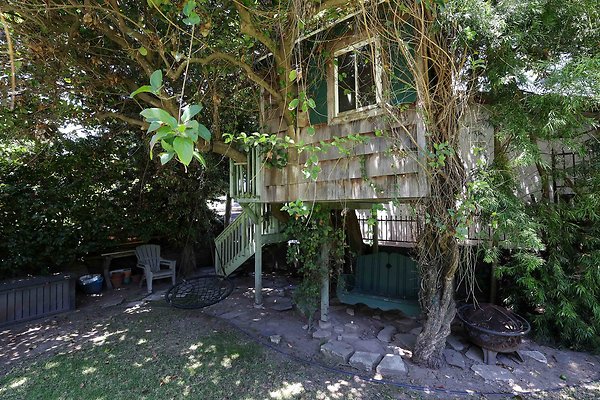 166B Backyard Tree House 0065