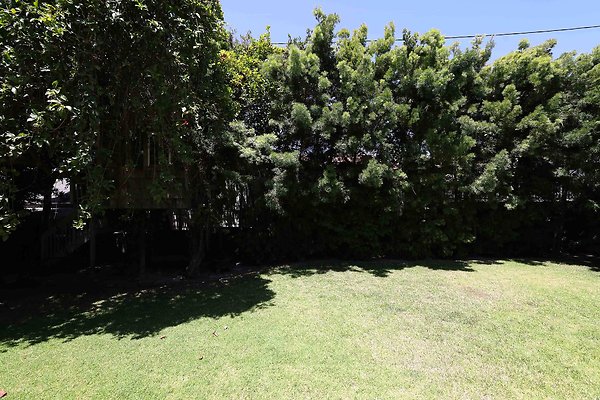 166B Backyard 0073