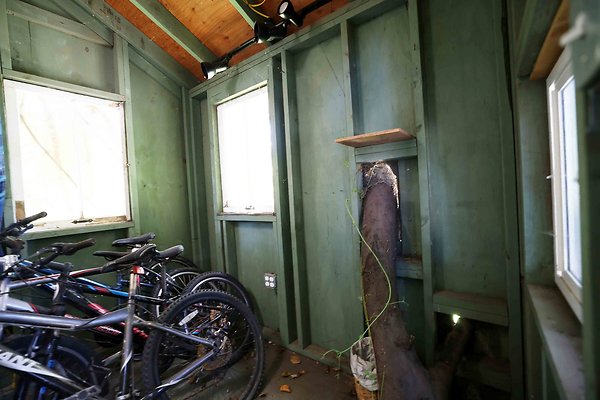 166B Backyard Tree House 0069