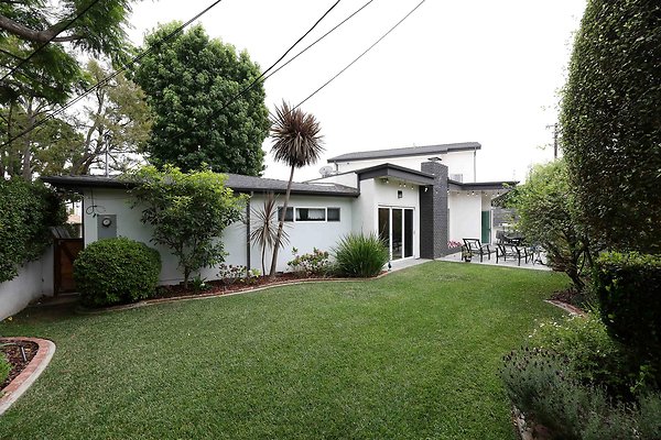 335A Backyard 0088