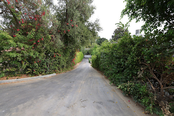 Driveway Upper rev 0271