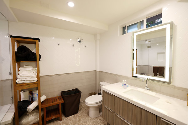 Basement Bedroom Bathroom 0132