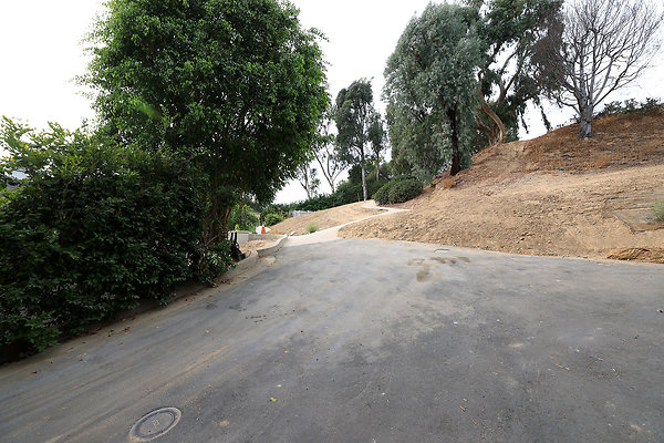 Driveway Upper to Guest House 0272