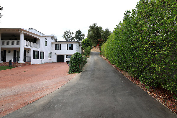 Driveway to Guest House 0273