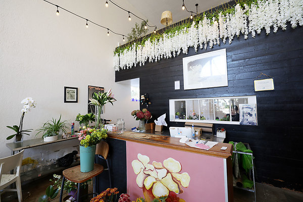 189D Front Counter 0020