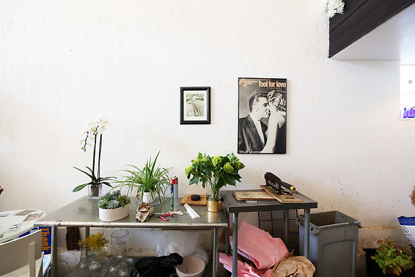 189D Flower Holding Counter 0024