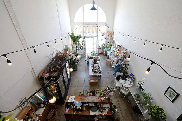 189D Flower Shop from Office 0042