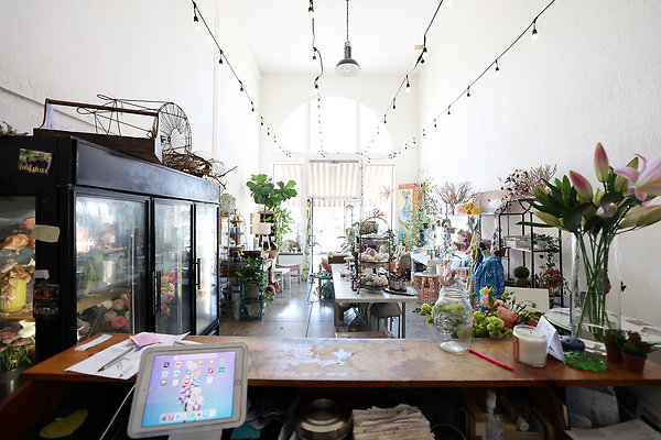 189D Front Counter 0022