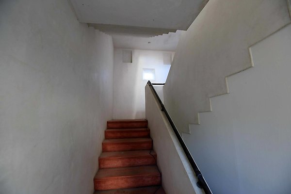 220A Residence Stairwell 0001