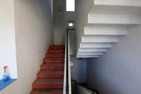 220A Residence Stairwell 0004