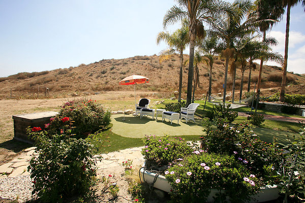 Backyard Putting Green 0018