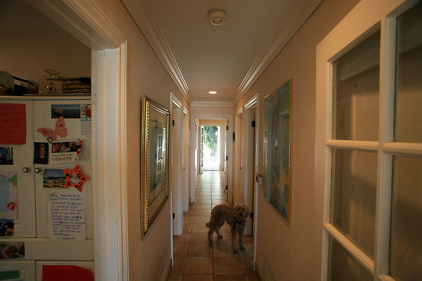 Hallway1