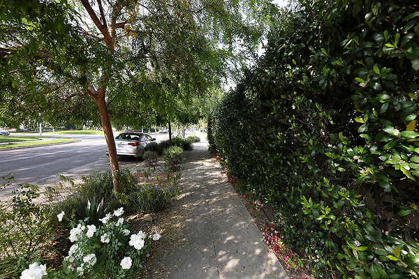 973A SIdewalk RS1 rev 0184 973A SIdewalk RS1 rev 0184