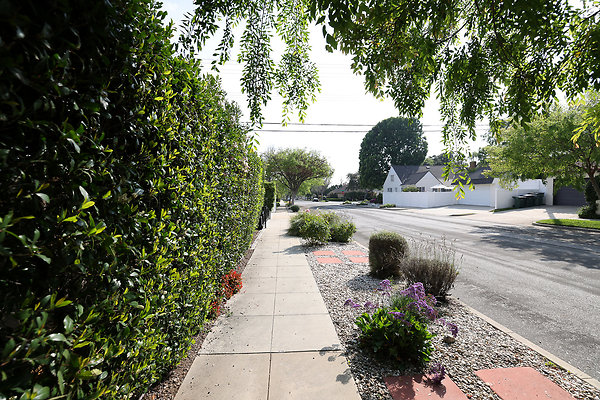 973A SIdewalk RS2 0185 973A SIdewalk RS2 0185