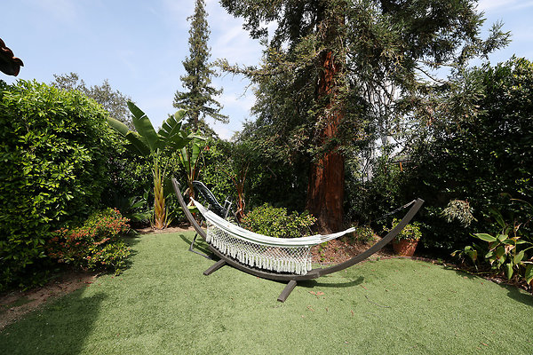 973A Backyard 0041
