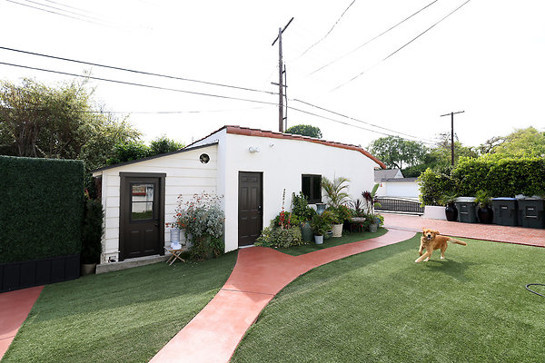 973A Backyard4 0043